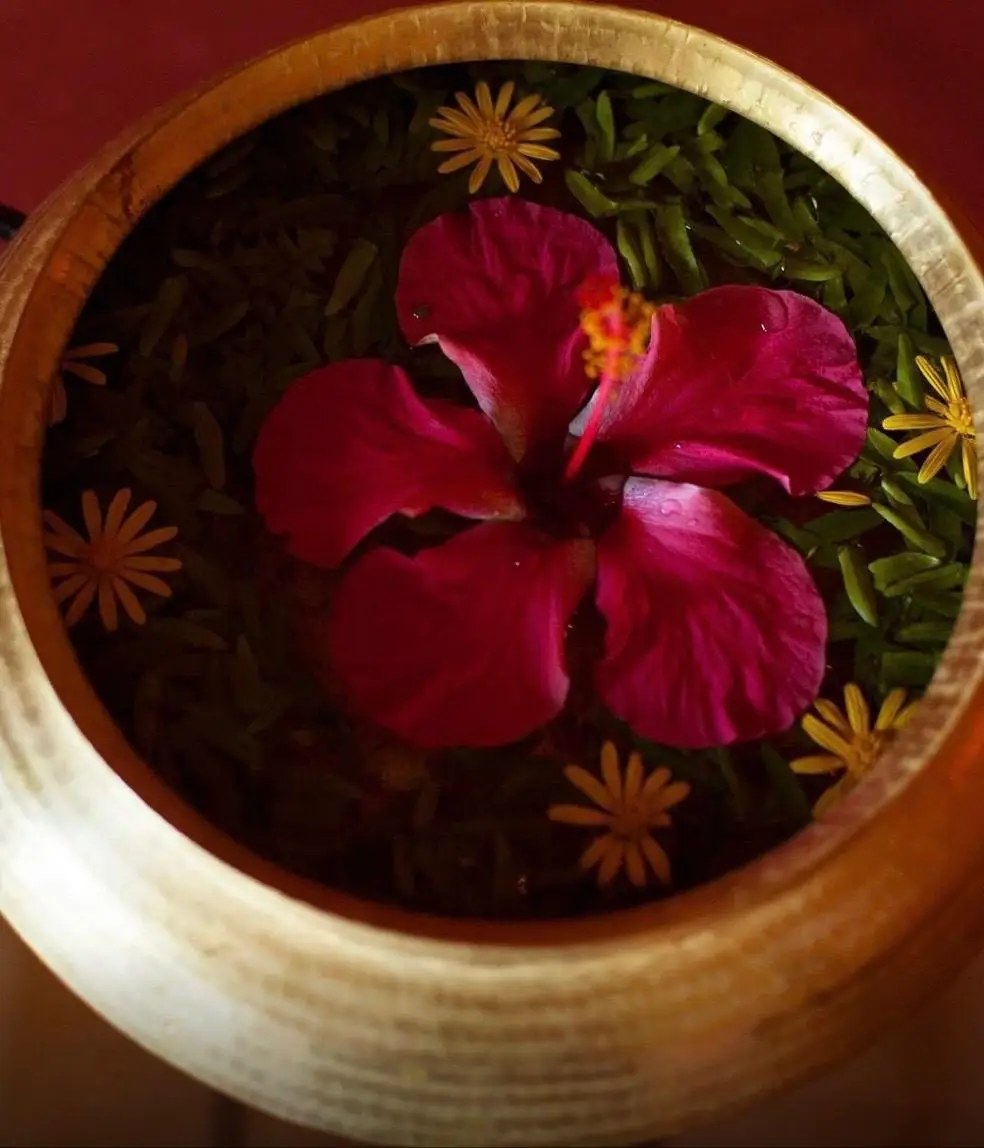 Hibiscus flower floating in a brass bowl