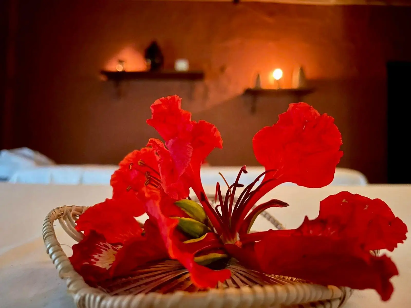 Red gulmohar flowers on a treatment bed