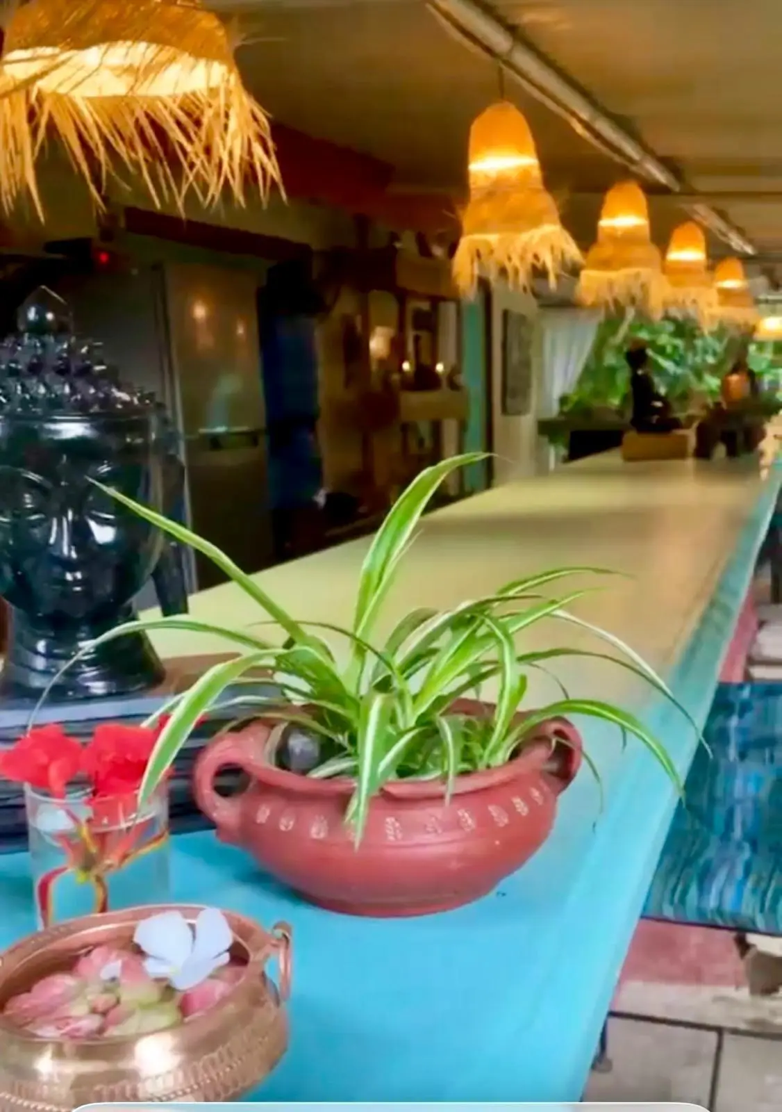 The reception counter at Jiva Spa with plants and woven lamps