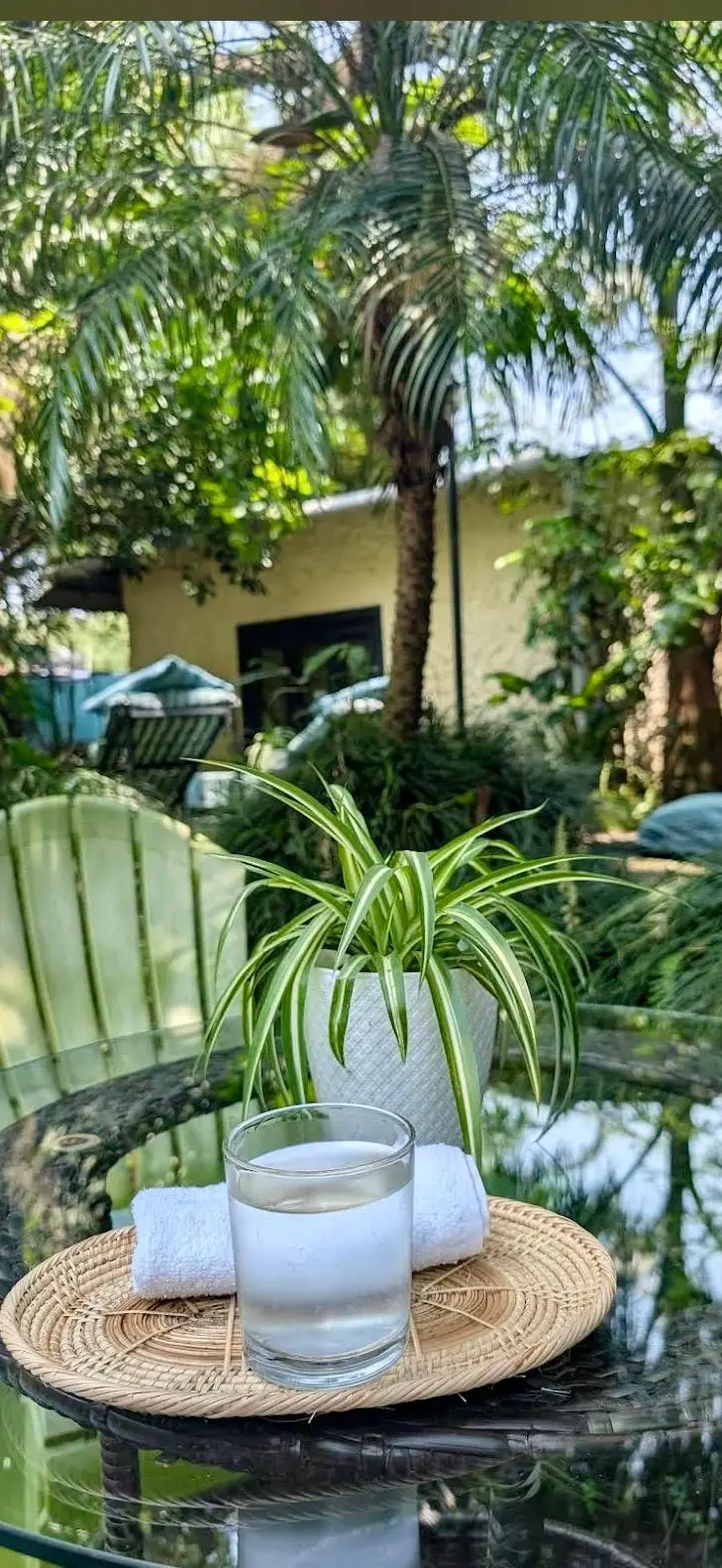 Welcome drink and fresh towel in the garden